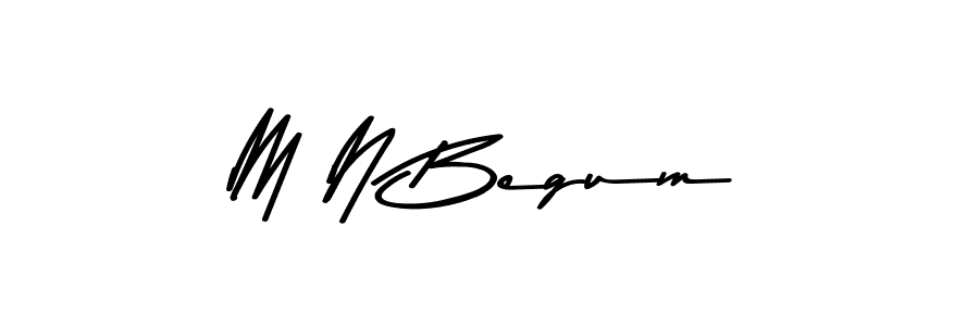 You should practise on your own different ways (Asem Kandis PERSONAL USE) to write your name (M N Begum) in signature. don't let someone else do it for you. M N Begum signature style 9 images and pictures png