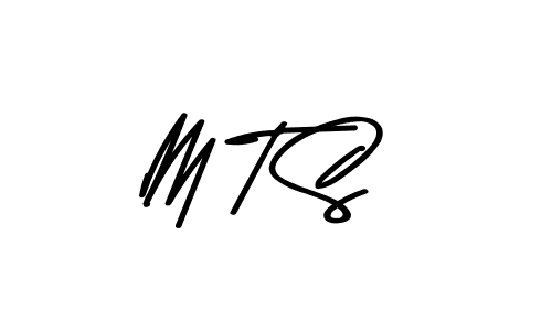 M T S stylish signature style. Best Handwritten Sign (Asem Kandis PERSONAL USE) for my name. Handwritten Signature Collection Ideas for my name M T S. M T S signature style 9 images and pictures png