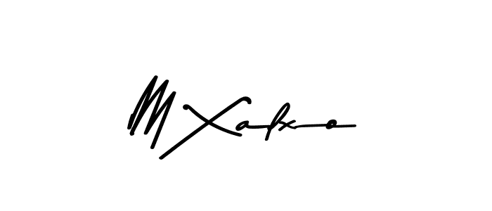 You should practise on your own different ways (Asem Kandis PERSONAL USE) to write your name (M Xalxo) in signature. don't let someone else do it for you. M Xalxo signature style 9 images and pictures png