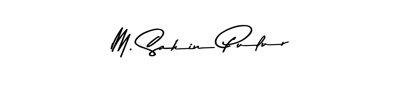 Similarly Asem Kandis PERSONAL USE is the best handwritten signature design. Signature creator online .You can use it as an online autograph creator for name M. Sahin Pulur. M. Sahin Pulur signature style 9 images and pictures png