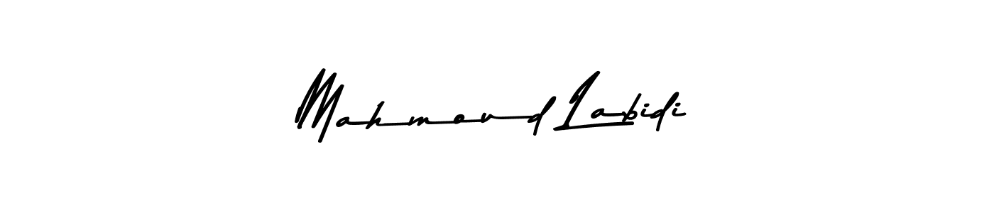 You should practise on your own different ways (Asem Kandis PERSONAL USE) to write your name (Mahmoud Labidi) in signature. don't let someone else do it for you. Mahmoud Labidi signature style 9 images and pictures png