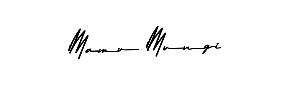 You should practise on your own different ways (Asem Kandis PERSONAL USE) to write your name (Mamu Mungi) in signature. don't let someone else do it for you. Mamu Mungi signature style 9 images and pictures png