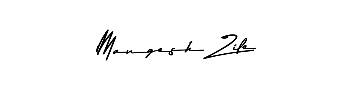 Here are the top 10 professional signature styles for the name Mangesh Zile. These are the best autograph styles you can use for your name. Mangesh Zile signature style 9 images and pictures png