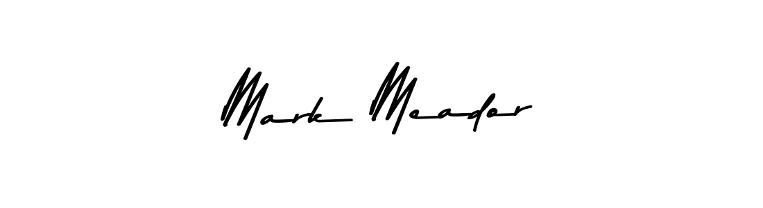 You should practise on your own different ways (Asem Kandis PERSONAL USE) to write your name (Mark Meador) in signature. don't let someone else do it for you. Mark Meador signature style 9 images and pictures png