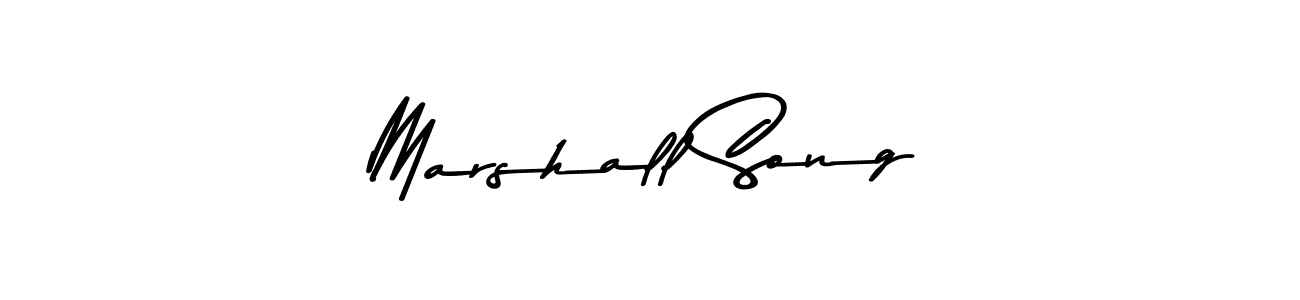 You can use this online signature creator to create a handwritten signature for the name Marshall Song. This is the best online autograph maker. Marshall Song signature style 9 images and pictures png