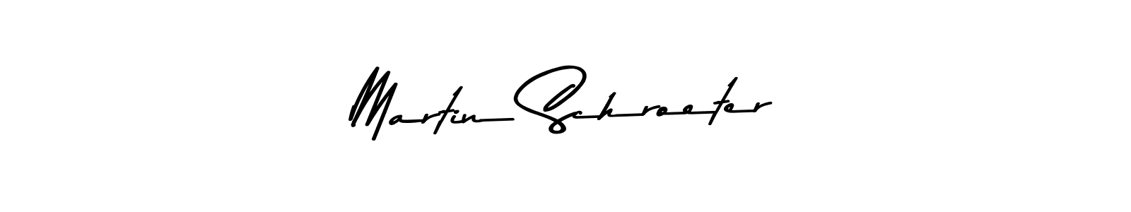 Similarly Asem Kandis PERSONAL USE is the best handwritten signature design. Signature creator online .You can use it as an online autograph creator for name Martin Schroeter. Martin Schroeter signature style 9 images and pictures png