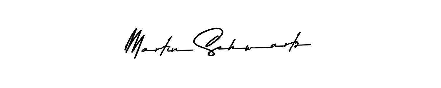 Best and Professional Signature Style for Martin Schwartz. Asem Kandis PERSONAL USE Best Signature Style Collection. Martin Schwartz signature style 9 images and pictures png