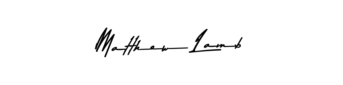 Matthew Lamb stylish signature style. Best Handwritten Sign (Asem Kandis PERSONAL USE) for my name. Handwritten Signature Collection Ideas for my name Matthew Lamb. Matthew Lamb signature style 9 images and pictures png
