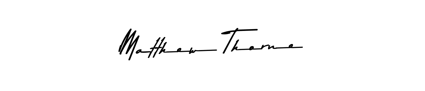 Matthew Thorne stylish signature style. Best Handwritten Sign (Asem Kandis PERSONAL USE) for my name. Handwritten Signature Collection Ideas for my name Matthew Thorne. Matthew Thorne signature style 9 images and pictures png