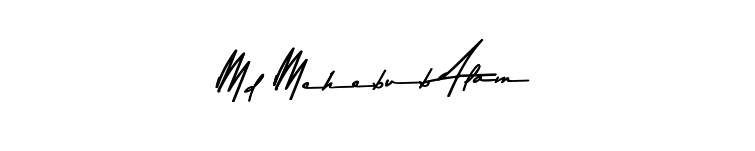 You can use this online signature creator to create a handwritten signature for the name Md Mehebub Alam. This is the best online autograph maker. Md Mehebub Alam signature style 9 images and pictures png