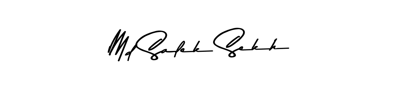 You should practise on your own different ways (Asem Kandis PERSONAL USE) to write your name (Md Salek Sekh) in signature. don't let someone else do it for you. Md Salek Sekh signature style 9 images and pictures png