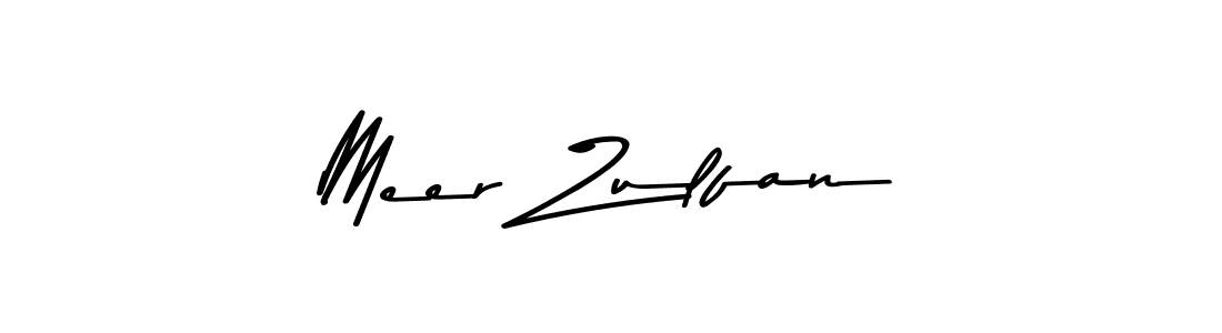 You should practise on your own different ways (Asem Kandis PERSONAL USE) to write your name (Meer Zulfan) in signature. don't let someone else do it for you. Meer Zulfan signature style 9 images and pictures png