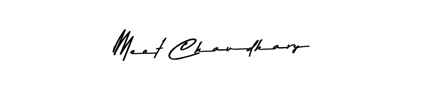 Here are the top 10 professional signature styles for the name Meet Chaudhary. These are the best autograph styles you can use for your name. Meet Chaudhary signature style 9 images and pictures png