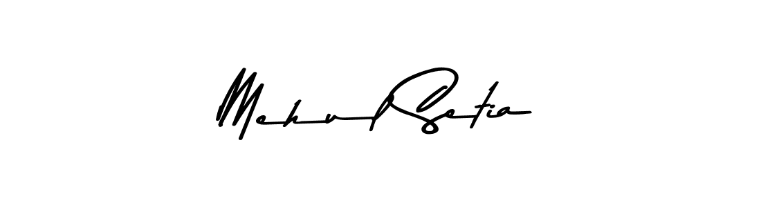 You can use this online signature creator to create a handwritten signature for the name Mehul Setia. This is the best online autograph maker. Mehul Setia signature style 9 images and pictures png