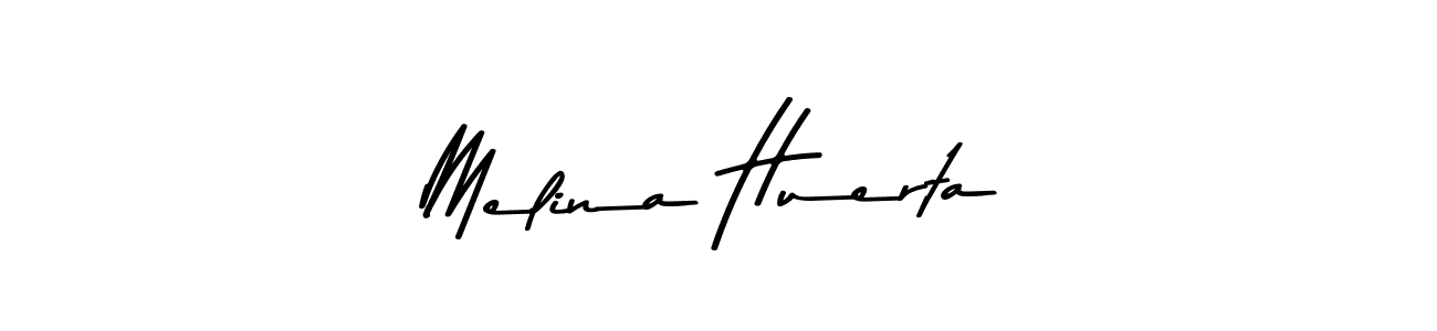 You should practise on your own different ways (Asem Kandis PERSONAL USE) to write your name (Melina Huerta) in signature. don't let someone else do it for you. Melina Huerta signature style 9 images and pictures png