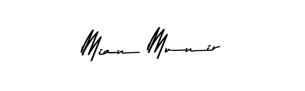 Make a beautiful signature design for name Mian Munir. Use this online signature maker to create a handwritten signature for free. Mian Munir signature style 9 images and pictures png