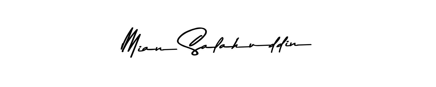 Here are the top 10 professional signature styles for the name Mian Salahuddin. These are the best autograph styles you can use for your name. Mian Salahuddin signature style 9 images and pictures png