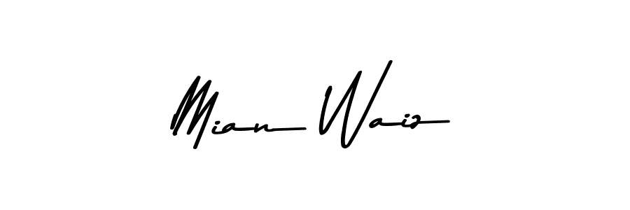 The best way (Asem Kandis PERSONAL USE) to make a short signature is to pick only two or three words in your name. The name Mian Waiz include a total of six letters. For converting this name. Mian Waiz signature style 9 images and pictures png