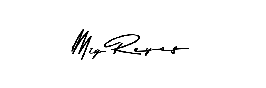 Make a beautiful signature design for name Mig Reyes. Use this online signature maker to create a handwritten signature for free. Mig Reyes signature style 9 images and pictures png