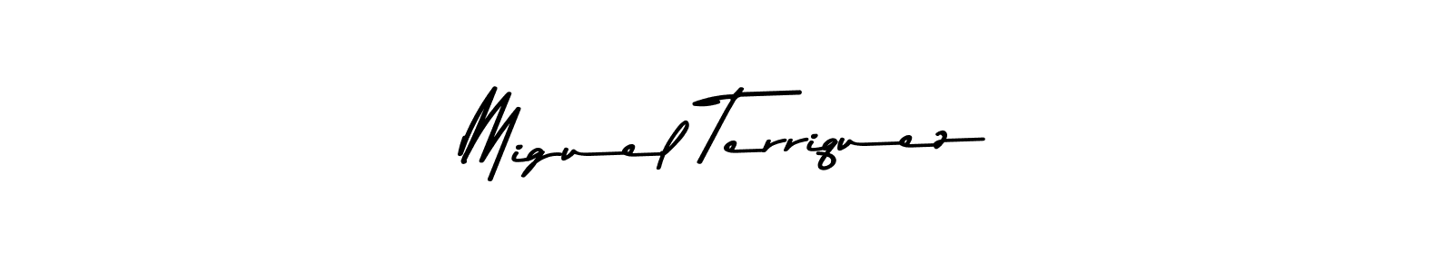 Miguel Terriquez stylish signature style. Best Handwritten Sign (Asem Kandis PERSONAL USE) for my name. Handwritten Signature Collection Ideas for my name Miguel Terriquez. Miguel Terriquez signature style 9 images and pictures png
