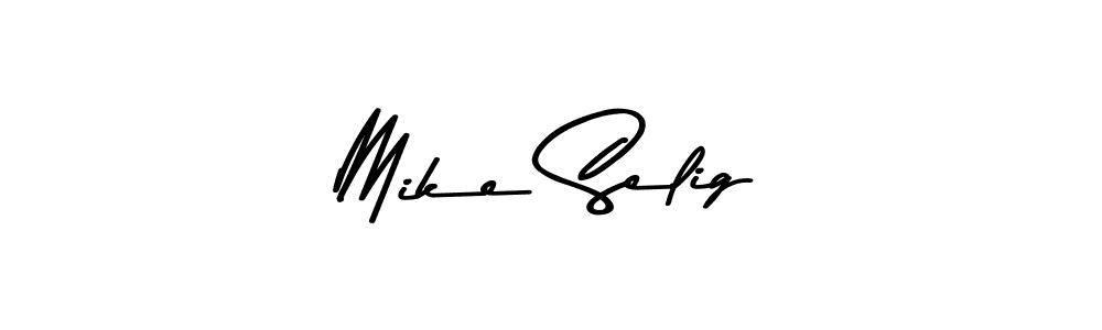 Asem Kandis PERSONAL USE is a professional signature style that is perfect for those who want to add a touch of class to their signature. It is also a great choice for those who want to make their signature more unique. Get Mike Selig name to fancy signature for free. Mike Selig signature style 9 images and pictures png