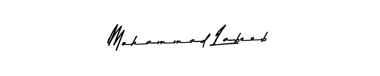 Create a beautiful signature design for name Mohammad Labeeb. With this signature (Asem Kandis PERSONAL USE) fonts, you can make a handwritten signature for free. Mohammad Labeeb signature style 9 images and pictures png