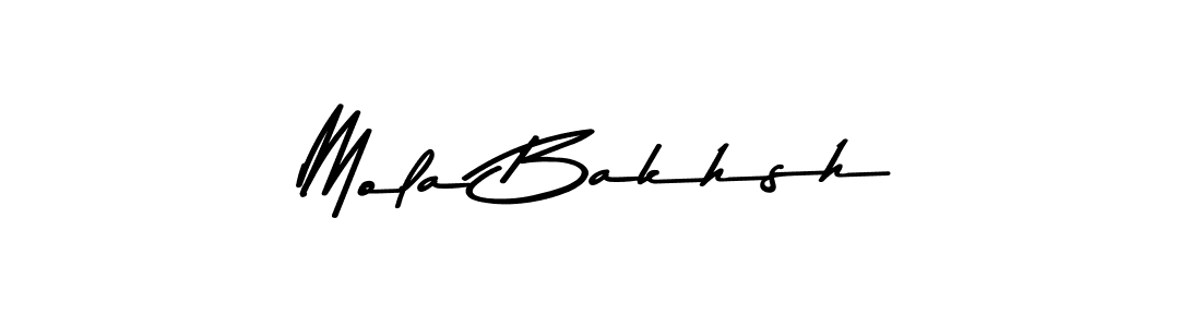 It looks lik you need a new signature style for name Mola Bakhsh. Design unique handwritten (Asem Kandis PERSONAL USE) signature with our free signature maker in just a few clicks. Mola Bakhsh signature style 9 images and pictures png