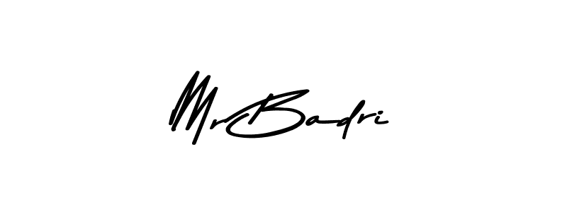 Mr Badri stylish signature style. Best Handwritten Sign (Asem Kandis PERSONAL USE) for my name. Handwritten Signature Collection Ideas for my name Mr Badri. Mr Badri signature style 9 images and pictures png