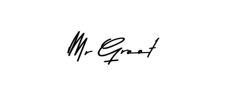 You should practise on your own different ways (Asem Kandis PERSONAL USE) to write your name (Mr Groot) in signature. don't let someone else do it for you. Mr Groot signature style 9 images and pictures png