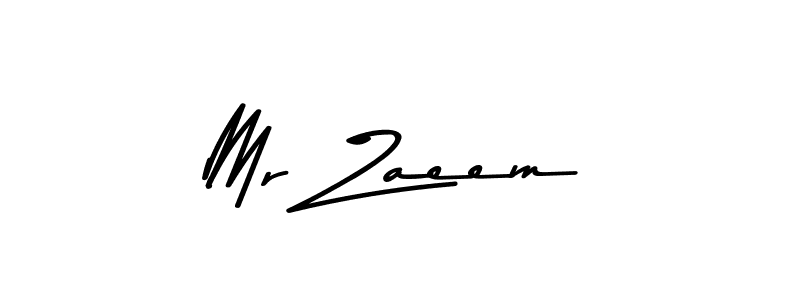 Make a beautiful signature design for name Mr Zaeem. Use this online signature maker to create a handwritten signature for free. Mr Zaeem signature style 9 images and pictures png