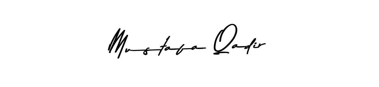 Mustafa Qadir stylish signature style. Best Handwritten Sign (Asem Kandis PERSONAL USE) for my name. Handwritten Signature Collection Ideas for my name Mustafa Qadir. Mustafa Qadir signature style 9 images and pictures png