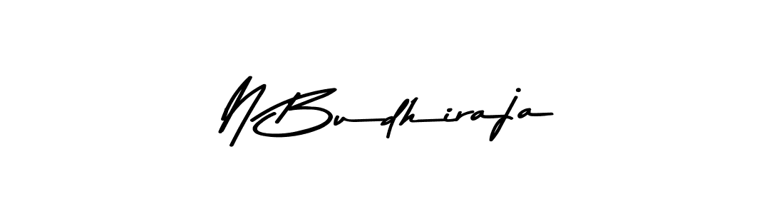 N Budhiraja stylish signature style. Best Handwritten Sign (Asem Kandis PERSONAL USE) for my name. Handwritten Signature Collection Ideas for my name N Budhiraja. N Budhiraja signature style 9 images and pictures png