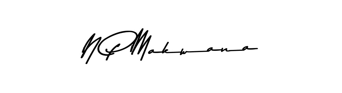You should practise on your own different ways (Asem Kandis PERSONAL USE) to write your name (N P Makwana) in signature. don't let someone else do it for you. N P Makwana signature style 9 images and pictures png