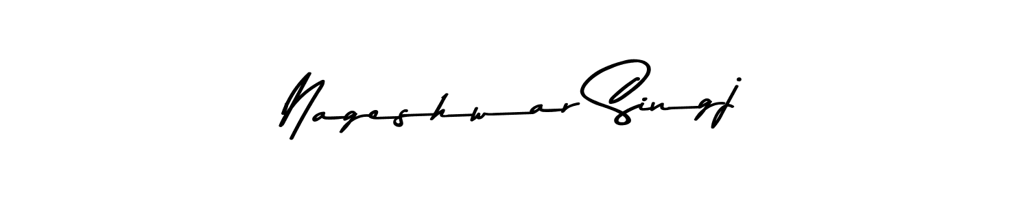 Similarly Asem Kandis PERSONAL USE is the best handwritten signature design. Signature creator online .You can use it as an online autograph creator for name Nageshwar Singj. Nageshwar Singj signature style 9 images and pictures png