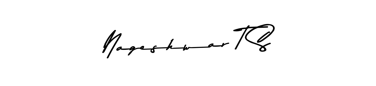 Here are the top 10 professional signature styles for the name Nageshwar T S. These are the best autograph styles you can use for your name. Nageshwar T S signature style 9 images and pictures png