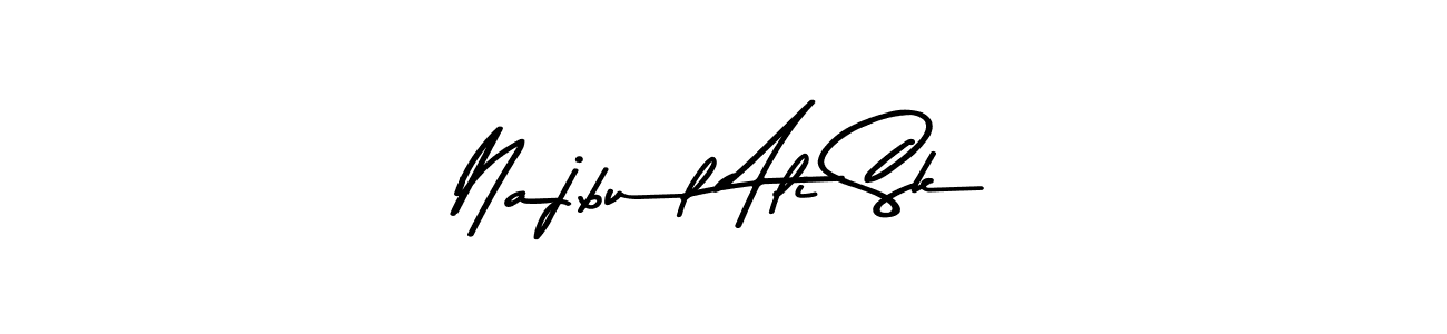 Best and Professional Signature Style for Najbul Ali Sk. Asem Kandis PERSONAL USE Best Signature Style Collection. Najbul Ali Sk signature style 9 images and pictures png