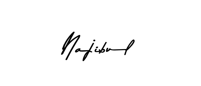 Here are the top 10 professional signature styles for the name Najibul. These are the best autograph styles you can use for your name. Najibul signature style 9 images and pictures png