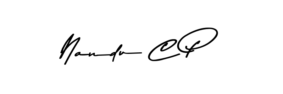 Make a beautiful signature design for name Nandu C P. Use this online signature maker to create a handwritten signature for free. Nandu C P signature style 9 images and pictures png