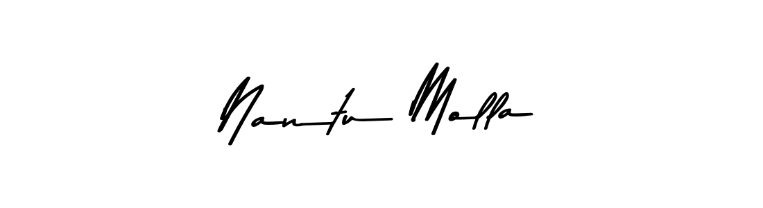 The best way (Asem Kandis PERSONAL USE) to make a short signature is to pick only two or three words in your name. The name Nantu Molla include a total of six letters. For converting this name. Nantu Molla signature style 9 images and pictures png