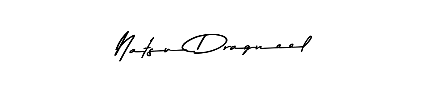 You should practise on your own different ways (Asem Kandis PERSONAL USE) to write your name (Natsu Dragneel) in signature. don't let someone else do it for you. Natsu Dragneel signature style 9 images and pictures png