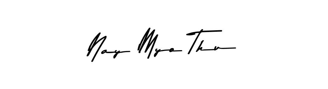 You should practise on your own different ways (Asem Kandis PERSONAL USE) to write your name (Nay Myo Thu) in signature. don't let someone else do it for you. Nay Myo Thu signature style 9 images and pictures png