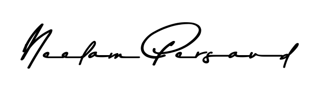 Get inspired by this graceful Asem Kandis PERSONAL USE signature style for name Neelam Persaud. Smooth loops and balanced proportions for everyday use. Neelam Persaud signature style 9 images and pictures png