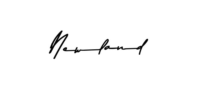 Newland stylish signature style. Best Handwritten Sign (Asem Kandis PERSONAL USE) for my name. Handwritten Signature Collection Ideas for my name Newland. Newland signature style 9 images and pictures png