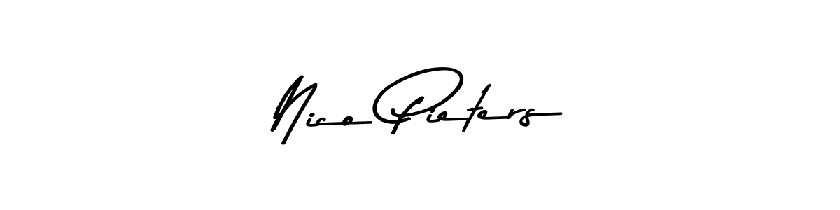 Similarly Asem Kandis PERSONAL USE is the best handwritten signature design. Signature creator online .You can use it as an online autograph creator for name Nico Pieters. Nico Pieters signature style 9 images and pictures png