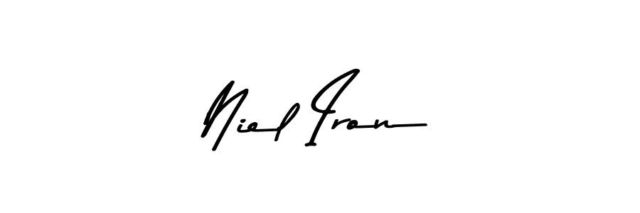 Here are the top 10 professional signature styles for the name Niel Iron. These are the best autograph styles you can use for your name. Niel Iron signature style 9 images and pictures png