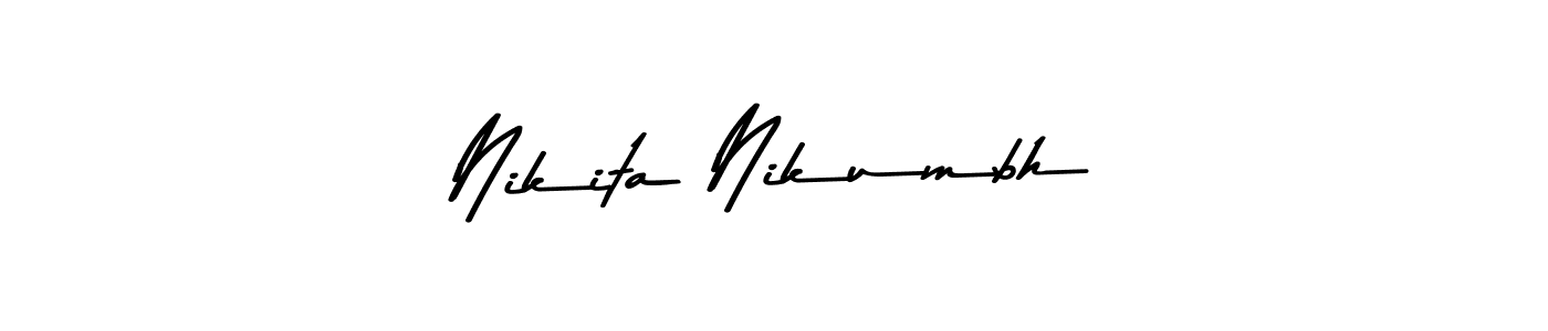 Here are the top 10 professional signature styles for the name Nikita Nikumbh. These are the best autograph styles you can use for your name. Nikita Nikumbh signature style 9 images and pictures png