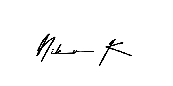 You should practise on your own different ways (Asem Kandis PERSONAL USE) to write your name (Niku K) in signature. don't let someone else do it for you. Niku K signature style 9 images and pictures png