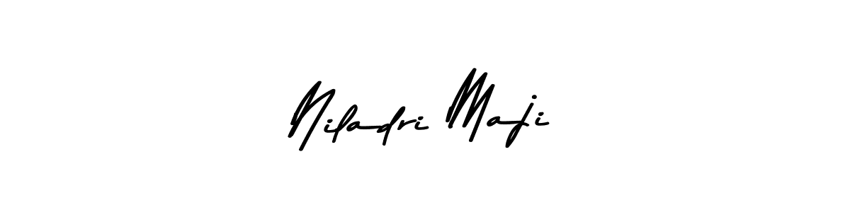 Niladri Maji stylish signature style. Best Handwritten Sign (Asem Kandis PERSONAL USE) for my name. Handwritten Signature Collection Ideas for my name Niladri Maji. Niladri Maji signature style 9 images and pictures png