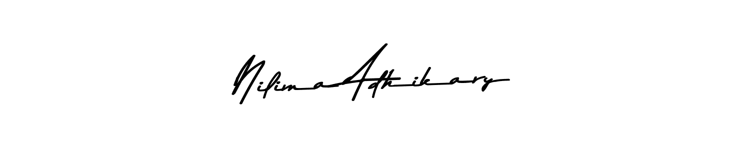 You should practise on your own different ways (Asem Kandis PERSONAL USE) to write your name (Nilima Adhikary) in signature. don't let someone else do it for you. Nilima Adhikary signature style 9 images and pictures png