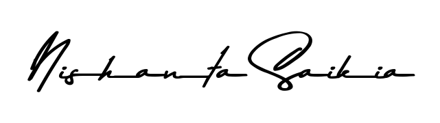 You should practise on your own different ways (Asem Kandis PERSONAL USE) to write your name (Nishanta Saikia) in signature. Don't let someone else do it for you. Nishanta Saikia signature style 9 images and pictures png